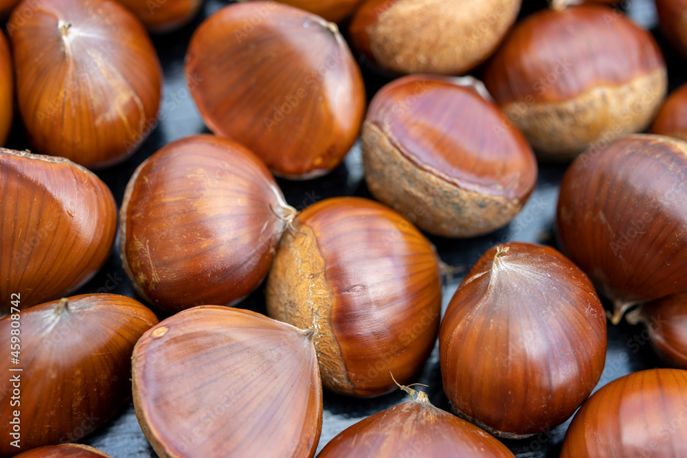 Image of many chestnuts in a pile Image of many chestnuts in a pile