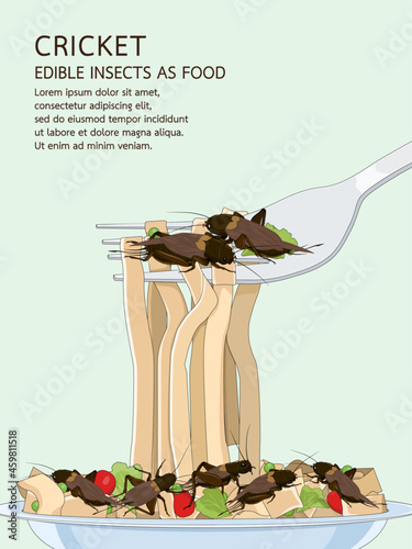 Crickets insects deep fried with pasta and tomato on plate and fork. Crickets insects for edible eating as alternative food, it is good source of meal high protein for future and entomophagy concept.