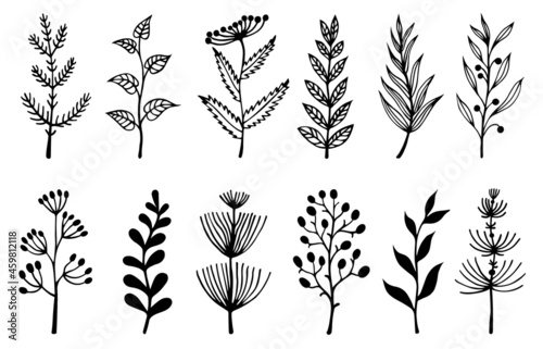 Flowers and herbs vector set. Hand-drawn doodles isolated on white background. Field plants, branches with leaves, grass with inflorescences and berries. Collection of botanical sketches.