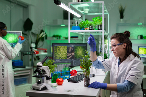 Chemist researcher woman measuring green sapling using ruler analyzing genetically modified plant during botany experiment. Multi-ethnic scientists team working in biological hospital laboratory
