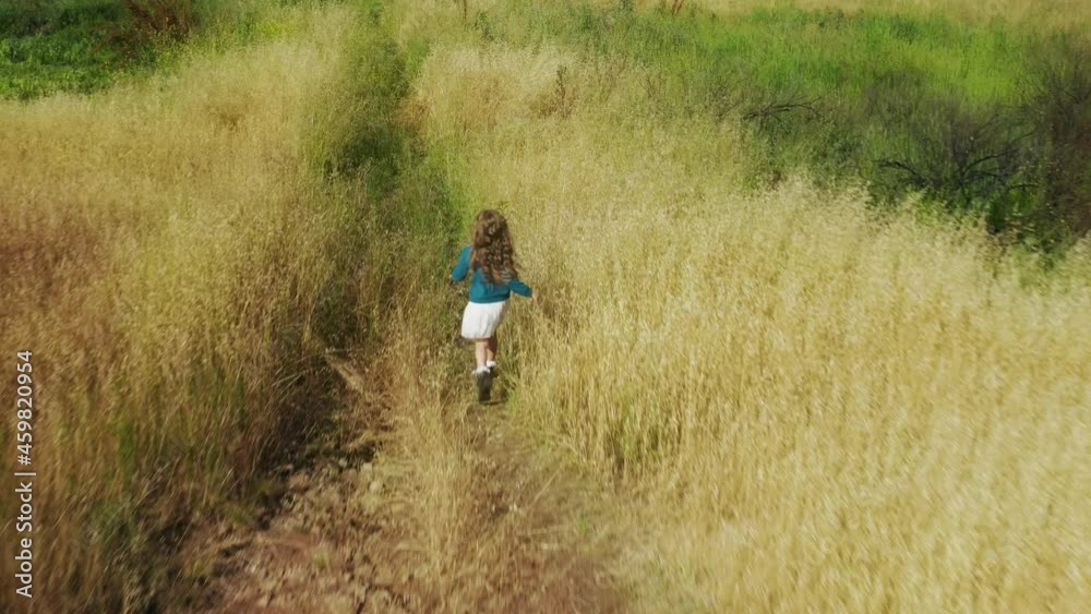 Happy little girl running by scenic meadow with high green grass on sunny summer day. Happiness childhood 4K footage, perfect summer background. Cute long hair kid dreaming. Child playing in park Happy little girl running by scenic meadow with high green grass on sunny summer day. Happiness childhood 4K footage, perfect summer background. Cute long hair kid dreaming. Child playing in park