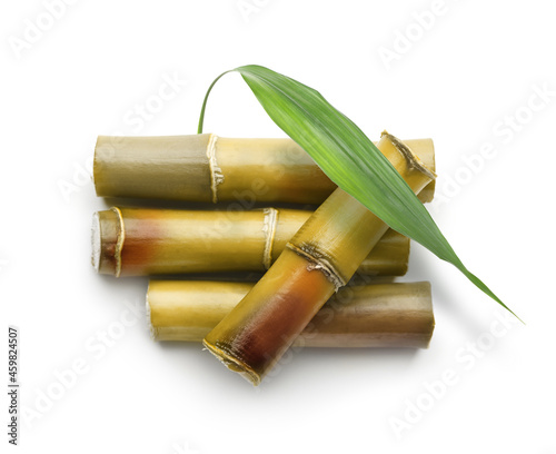 Sugar cane plant isolated on white background.