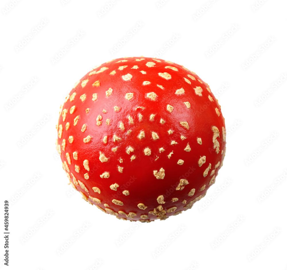 Fly agaric isolated on white background, top view. Fly agaric isolated on white background, top view.