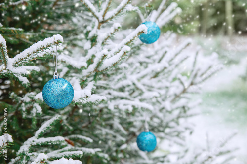 New Year's decoration balls on a snowy branch. Christmas tree toys on the branches of spruce covered with snow. Blue shiny balloons toys on the new year tree.