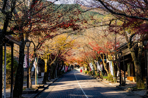 日本の美　谷汲山華厳寺参道の紅葉