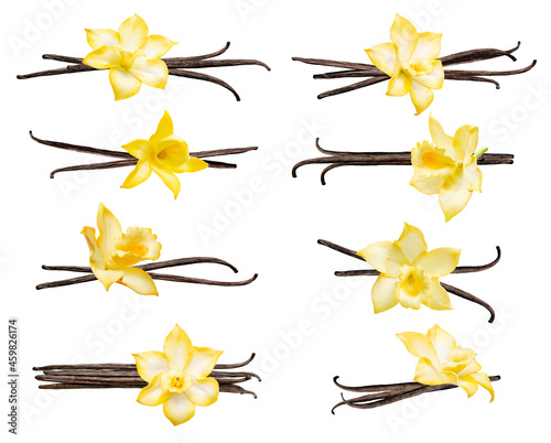 Set with vanilla pods and flowers isolated on the white background. Collection of vanilla orhid flowers and vanilla sticks. photo