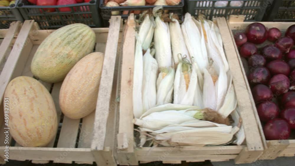 Vegetables on the market counter. Smooth camera movement along the vegetable crates: carrot, peppers, onion, corn, melons, watermelons, pumpkins. Vegetables on the market counter. Smooth camera movement along the vegetable crates: carrot, peppers, onion, corn, melons, watermelons, pumpkins.