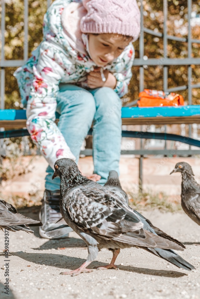 Obraz premium Teenager girl feeding pigeons in the park. The girl sits on a bench and feeds the birds with seeds. Autumn sunny day. Taking care of birds in an urban. Lifestyle. Positive emotions. Selective focus