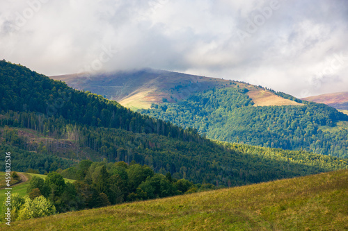 mountain landscape in early autumn. spruce forest on the hills. wonderful nature scenery in dappled light. clouds on the sky