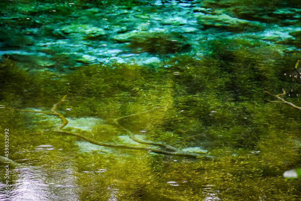 Rainy day at Rainbow Springs State Park in Florida Rainy day at Rainbow Springs State Park in Florida