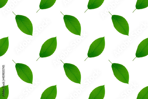 Green leaves natural pattern background.