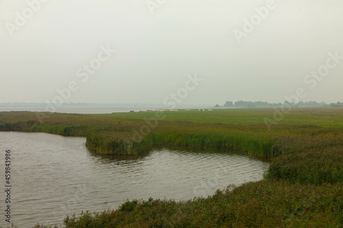 Lauwersmeer National Park one of the most beautiful nature reserves and bird sanctuary in the Netherlands on the border of the provinces of Groningen and Friesland photo