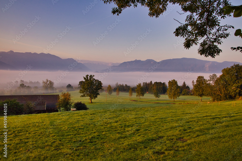 Fototapeta premium Sonnenaufgang im Murnauer Moos