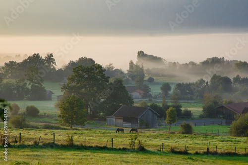 Murnauer Moos im Morgennebel