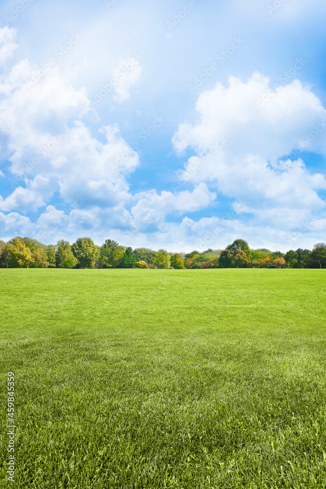 Beautiful green mowed lawn with trees and sky on background - im