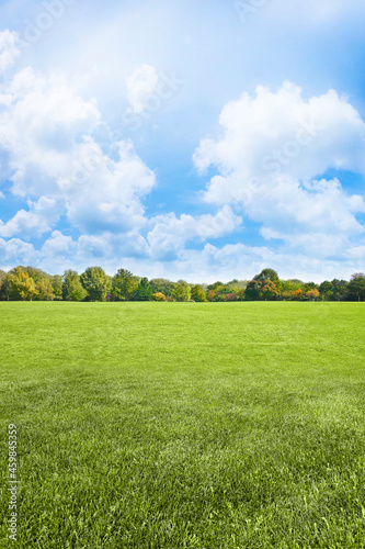Fototapeta Naklejka Na Ścianę i Meble -  Beautiful green mowed lawn with trees and sky on background - im