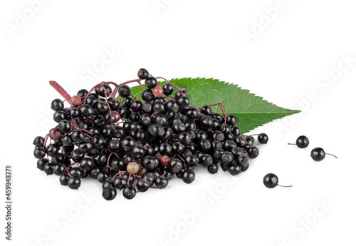 Elderberry isolated on a white background