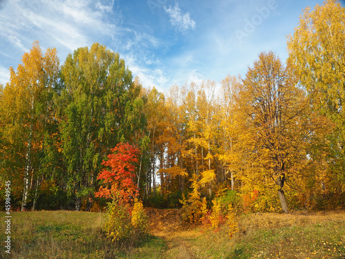 Autumn. Autumn trees in the park. Fallen leaves. Abandoned path. Russia, Ural, Perm region