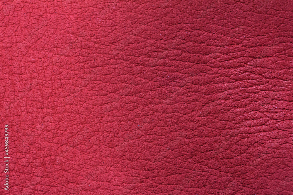 The surface of sheep leather. The surface of sheep leather.