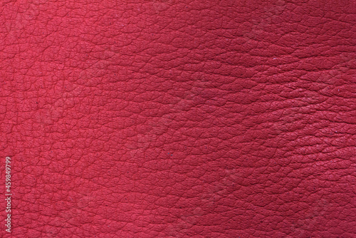 The surface of sheep leather.