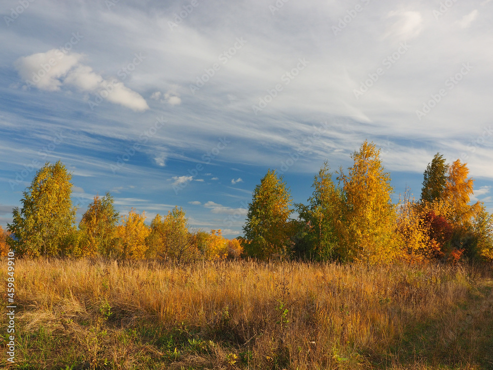Autumn. Autumn forest, abandoned field and road. Beautiful sky with clouds. Russia, Ural, Perm region Autumn. Autumn forest, abandoned field and road. Beautiful sky with clouds. Russia, Ural, Perm region