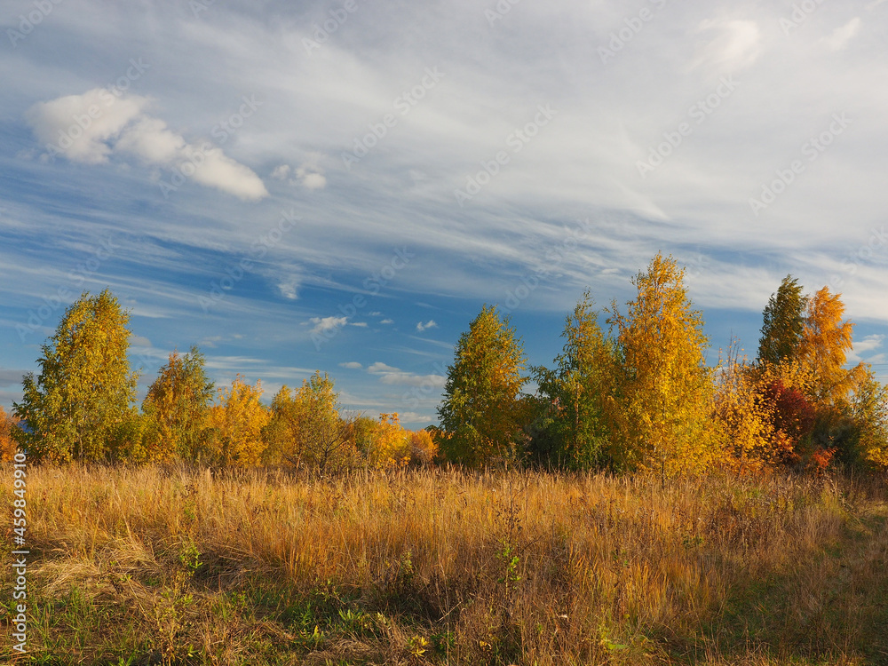 Autumn. Autumn forest, abandoned field and road. Beautiful sky with clouds. Russia, Ural, Perm region