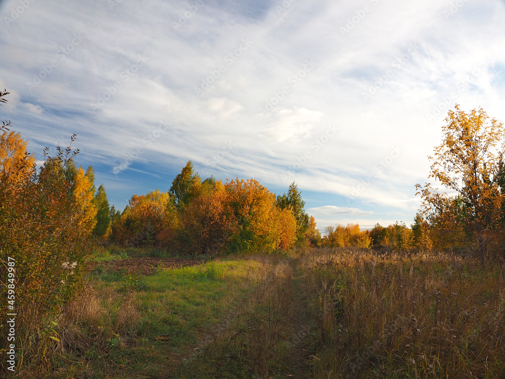 Autumn. Autumn forest, abandoned field and road. Beautiful sky with clouds. Russia, Ural, Perm region