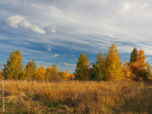 Autumn. Autumn forest, abandoned field and road. Beautiful sky with clouds. Russia, Ural, Perm region
