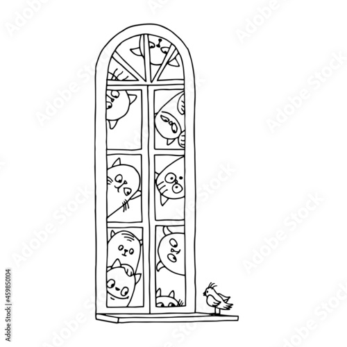 a group of funny domestic cats look at a sparrow outside the window, vector illustration with black ink contour lines isolated on a white background in a doodle & hand drawn style