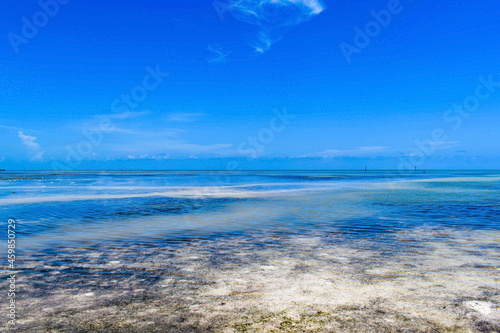 Low tide in the Florida Keys