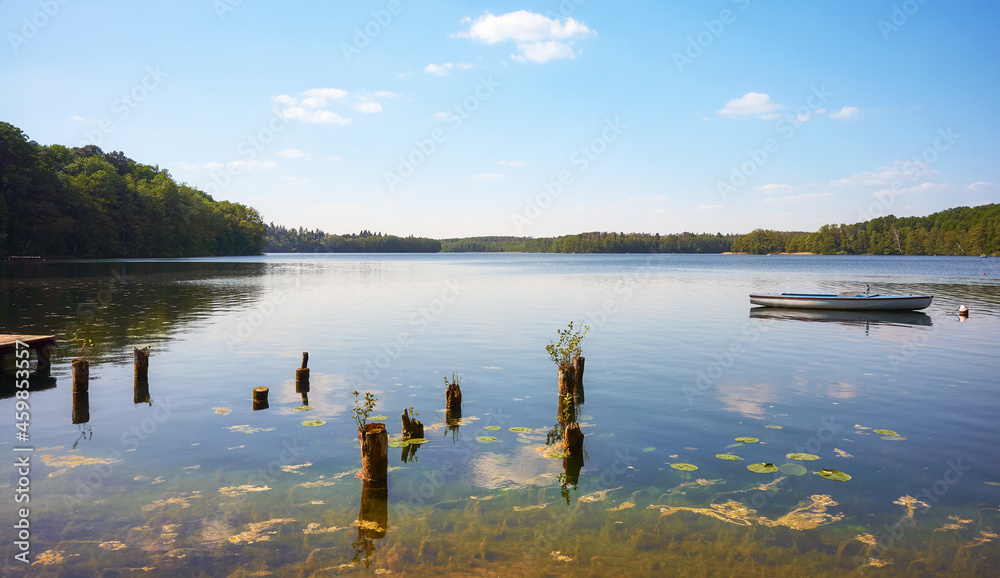 Still water of Lake Lipie in the summer, Strzelce Krajenskie, Poland. Still water of Lake Lipie in the summer, Strzelce Krajenskie, Poland.