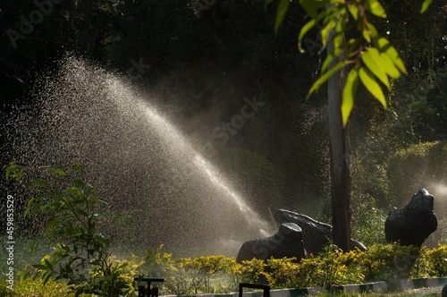 Garden Spray, Ranganthittu, Mysore, Karnataka, India