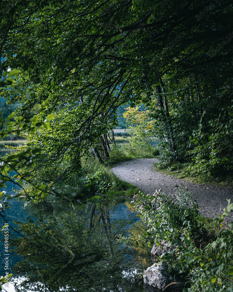 Wanderweg am Almsee Oberösterreich Wanderweg am Almsee Oberösterreich