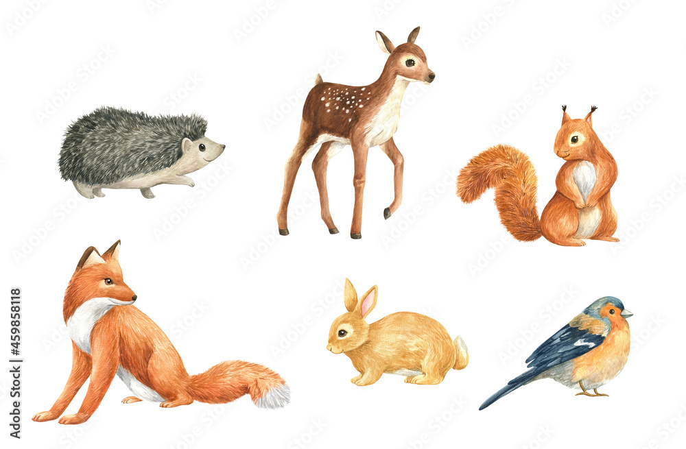 Naklejka premium Animals wild forest watercolor illustration isolated
