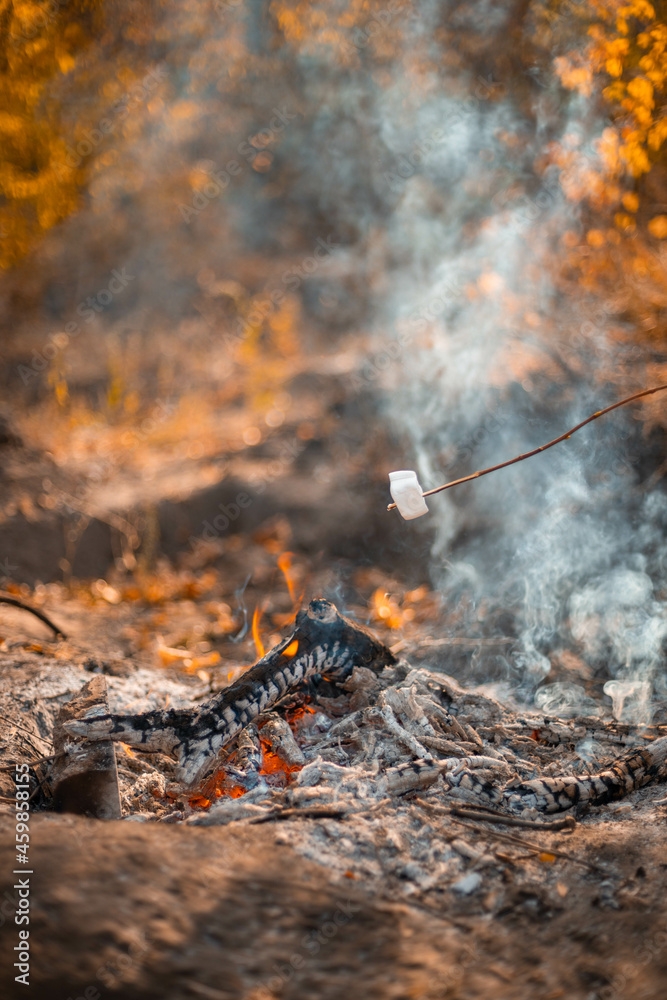 Bonfire in the autumn forest. Vertical photo orientation Bonfire in the autumn forest. Vertical photo orientation