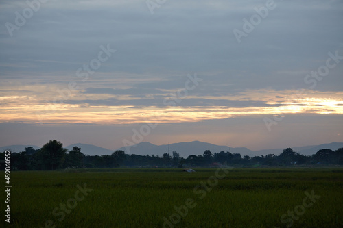 Rural field scenery  early morning