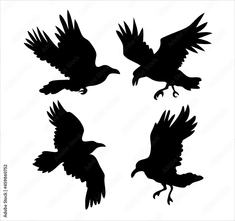 Obraz premium Set of realistic raven vector silhouettes for icons. Hand drawn style