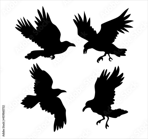 Set of realistic raven vector silhouettes for icons. Hand drawn style