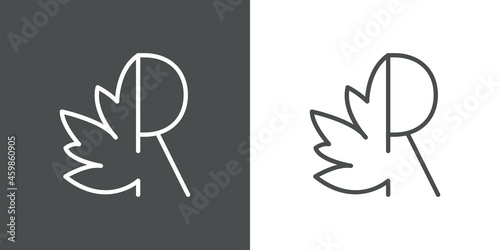 Logotipo letra inicial R en hoja de arce con lineas en fondo gris y fondo blanco
