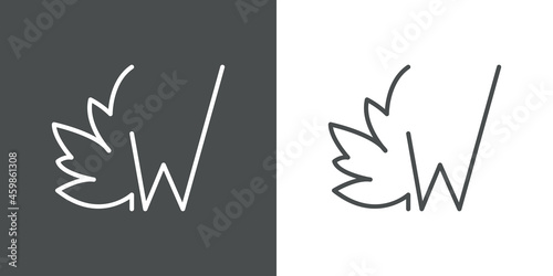 Logotipo letra inicial W en hoja de arce con lineas en fondo gris y fondo blanco