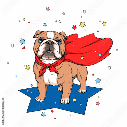 Cute english bulldog in superhero cape. Stylish image for printing on any surface	