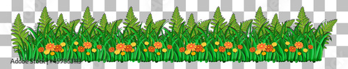 Grass and plants on transparent background for decor