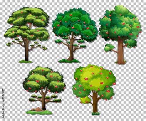 Set of different trees on transparent background