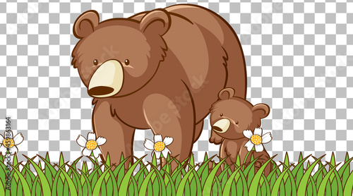 Bear standing on the grass field on transparent background