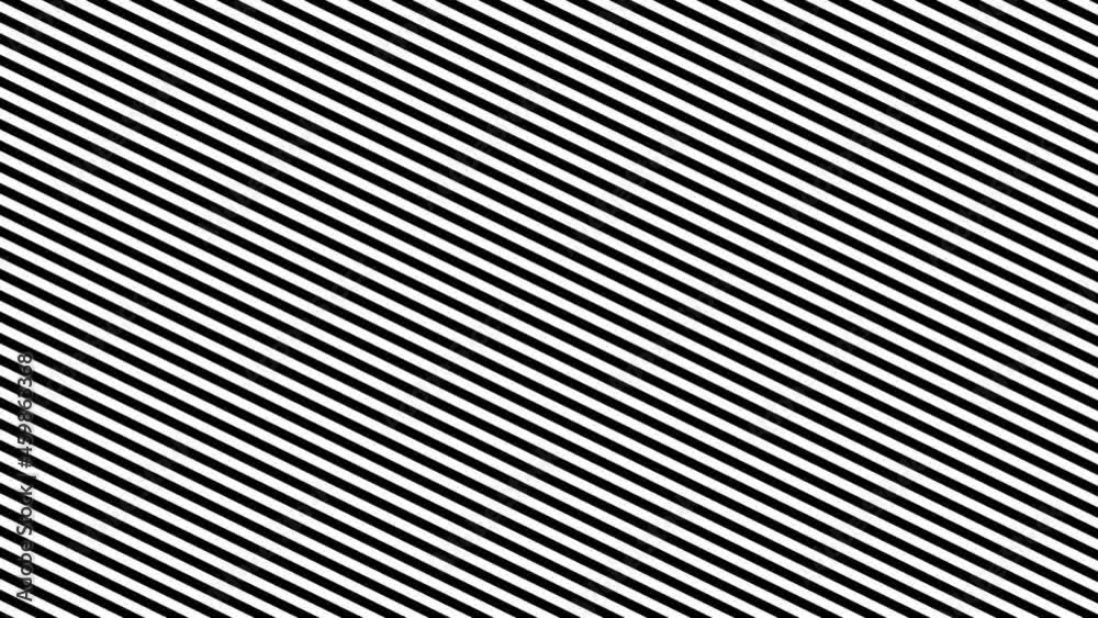 black stripes are moving on a white background. abstract background. black stripes are moving on a white background. abstract background.