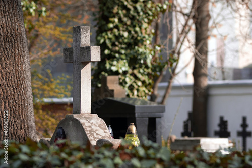 Old Catholic cemetery. Stone crosses on the tombs. Blurred background. Trees and ivy. Day of death.