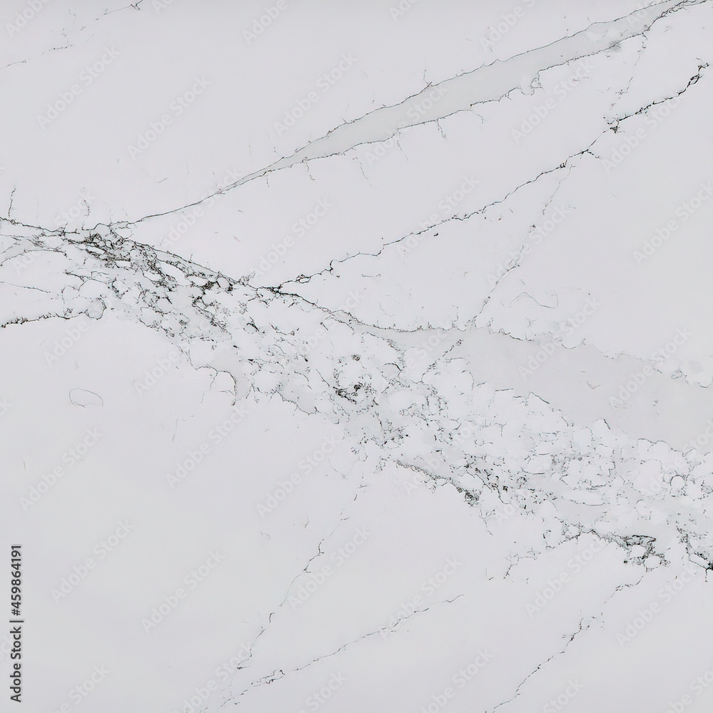 Fototapeta premium white marble with black veins