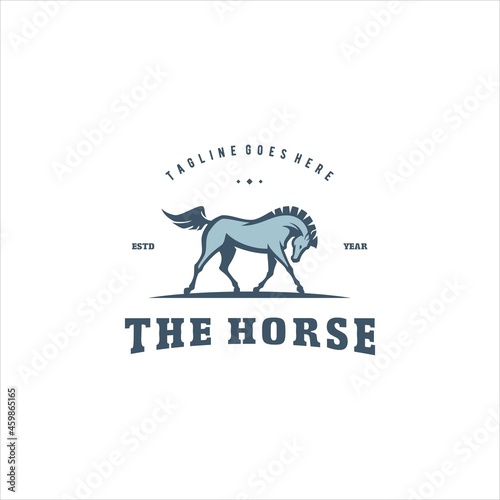 Horse Logo Design Vector Image