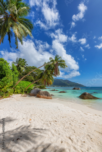 Exotic Sunny beach and coconut palms on Beau Vallon beach  Seychelles. Summer vacation and tropical beach concept. 