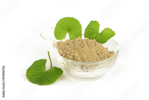 Gotu kola or Centella asiatica green leaves and powder isolated on white background.